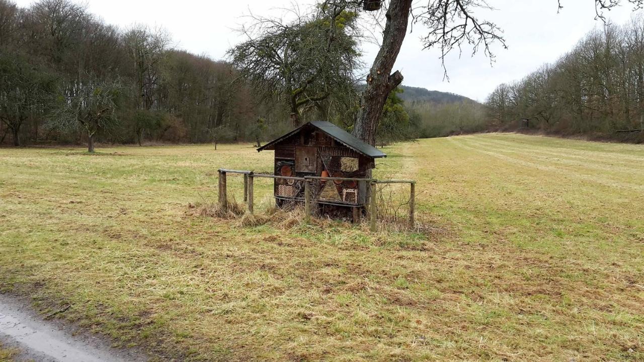 Haus Mit Seele Im Nahetal Weinsheim  Εξωτερικό φωτογραφία