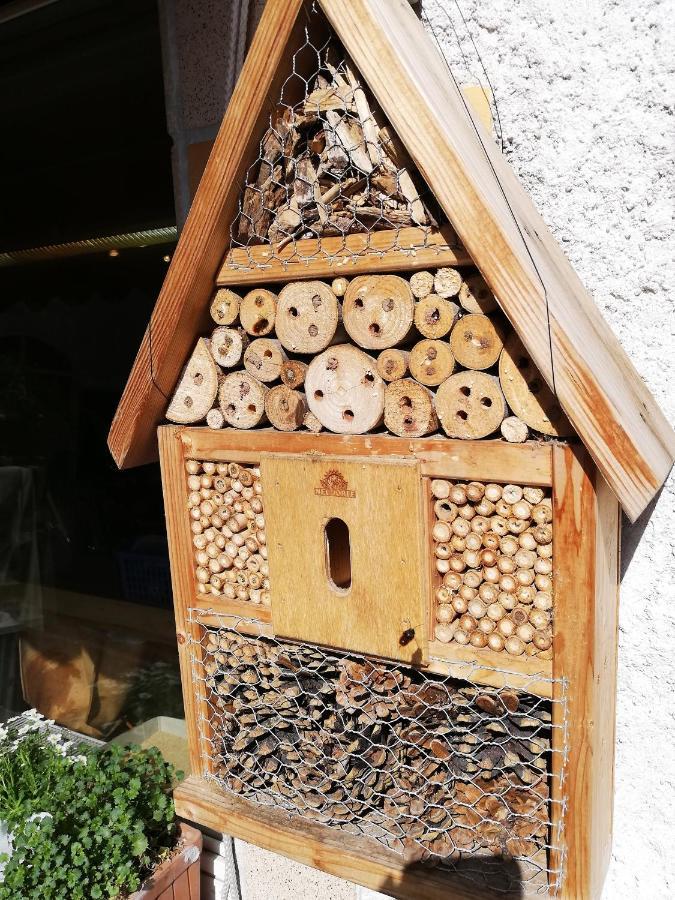 Haus Mit Seele Im Nahetal Weinsheim  Εξωτερικό φωτογραφία