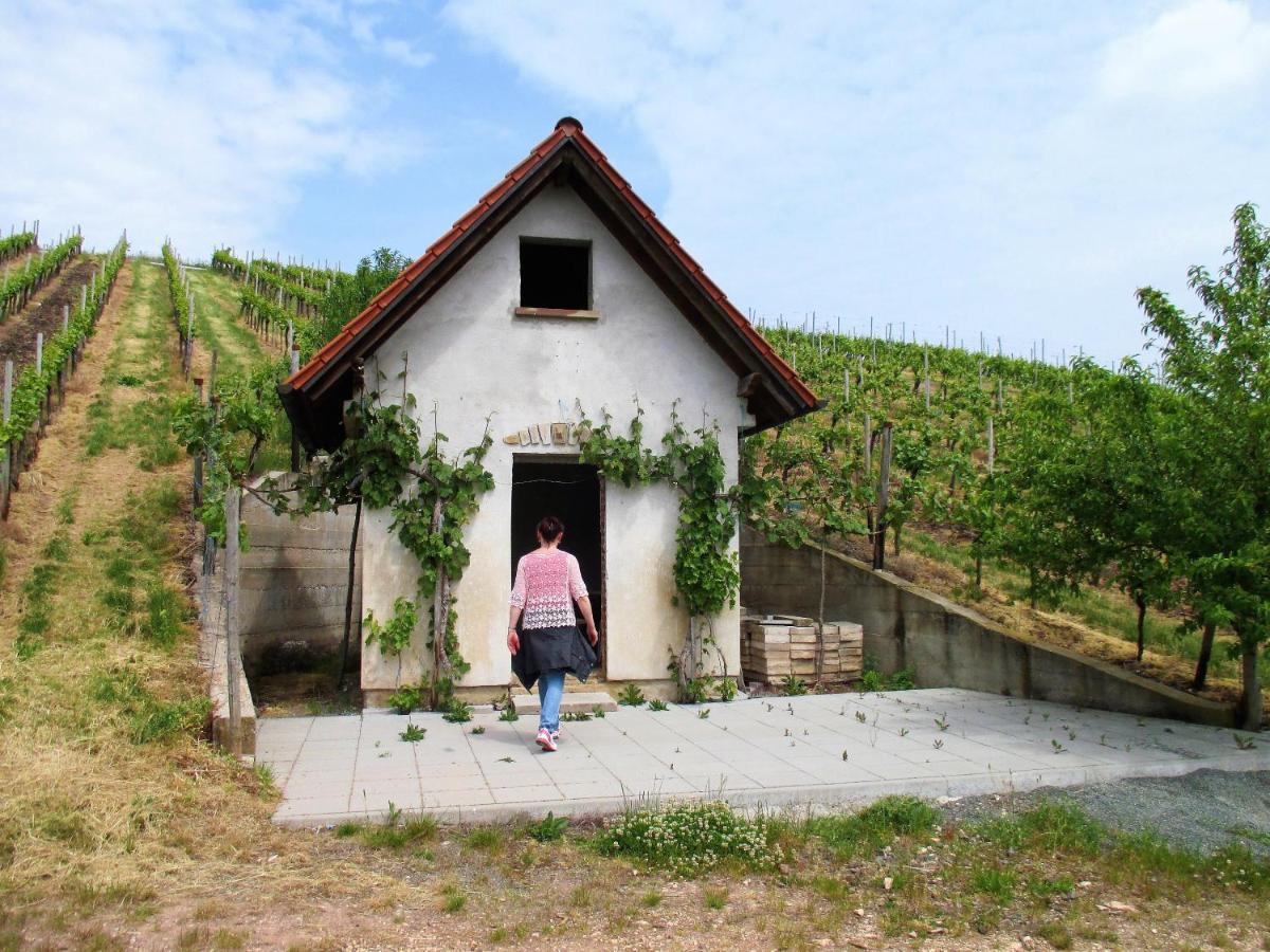 Haus Mit Seele Im Nahetal Weinsheim  Εξωτερικό φωτογραφία