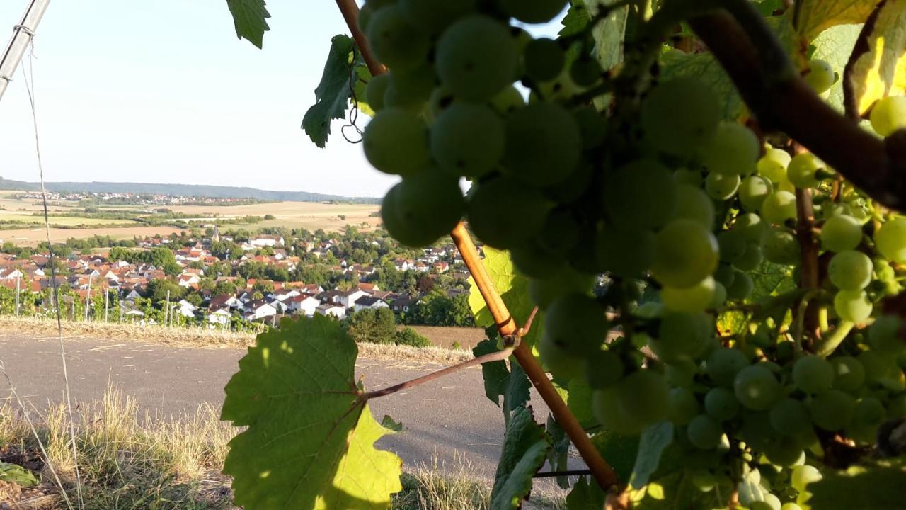 Haus Mit Seele Im Nahetal Weinsheim  Εξωτερικό φωτογραφία